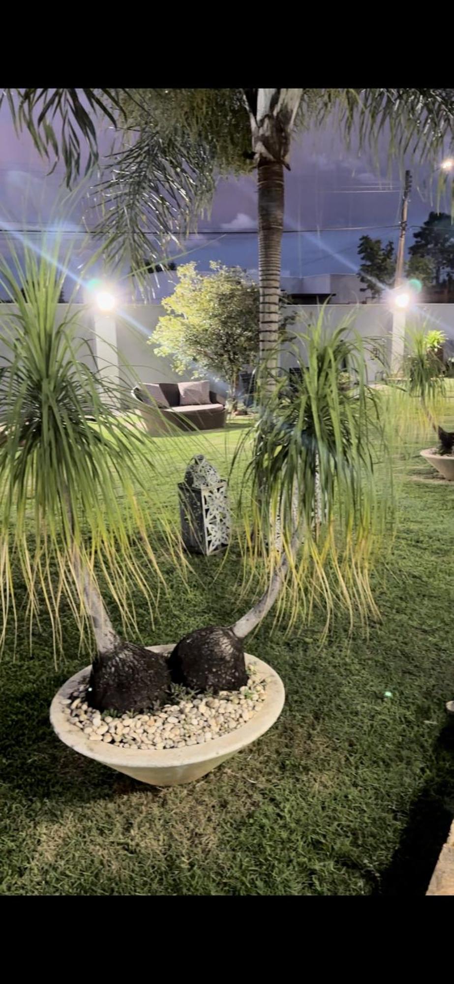 Mansao Primavera Com 03 Quartos E Piscina Aquecida Brasilia